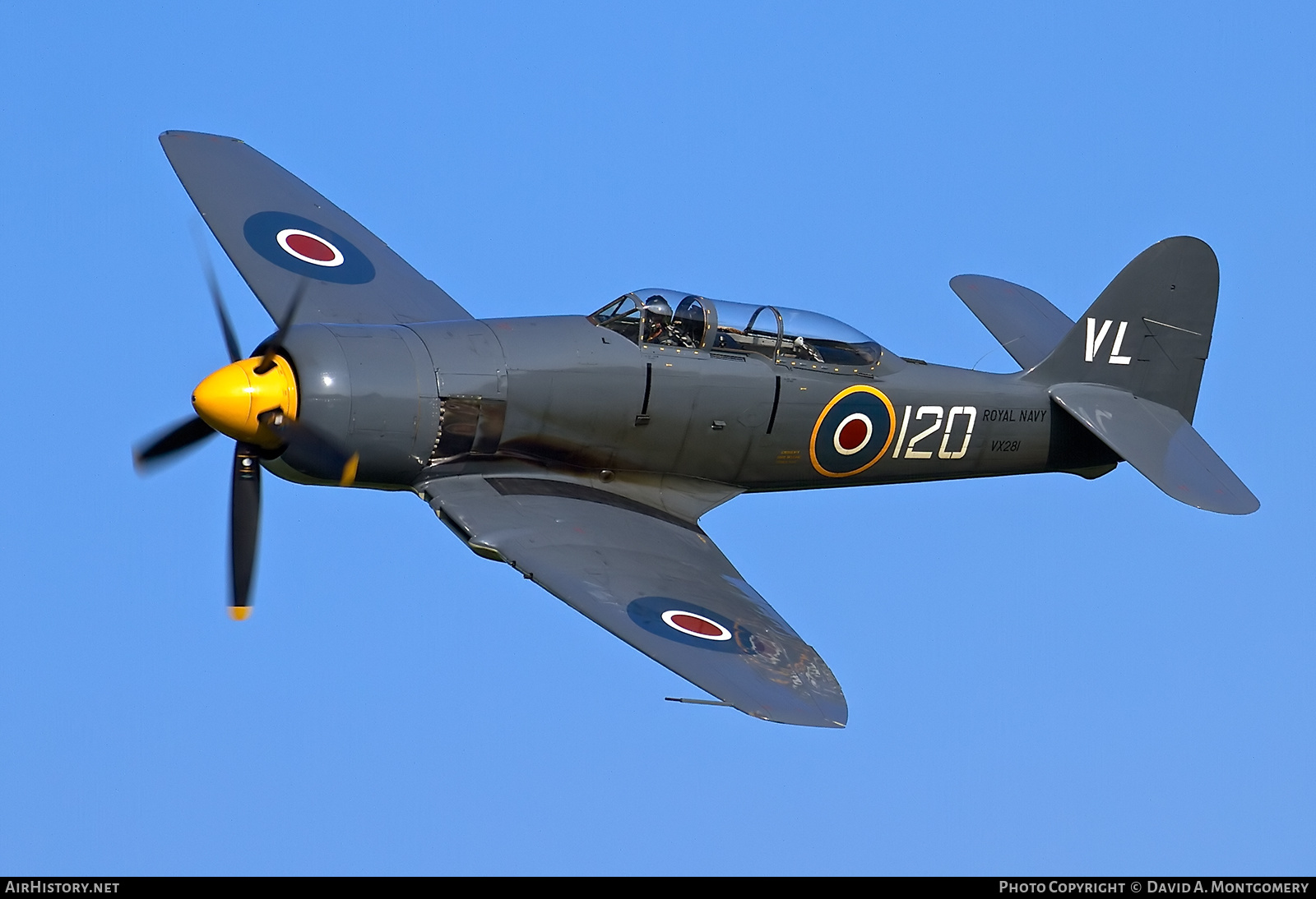 Aircraft Photo of G-RNHF / VX281 | Hawker Sea Fury T20 | UK - Navy | AirHistory.net #526581