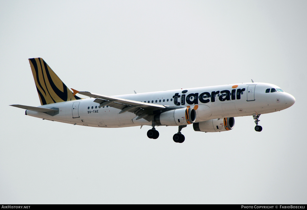 Aircraft Photo of 9V-TAE | Airbus A320-232 | Tigerair | AirHistory.net #527070