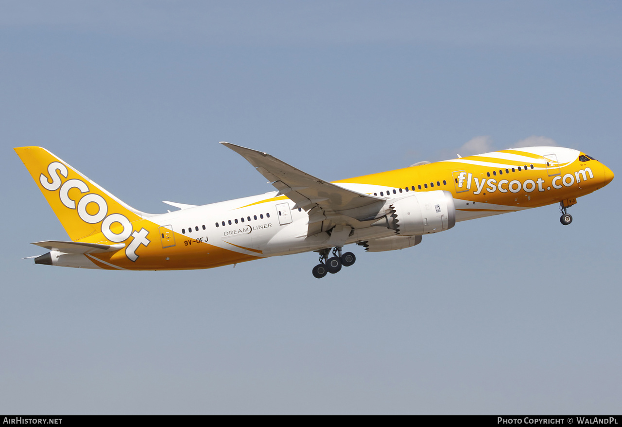 Aircraft Photo of 9V-OFJ | Boeing 787-8 Dreamliner | Scoot | AirHistory.net #528068