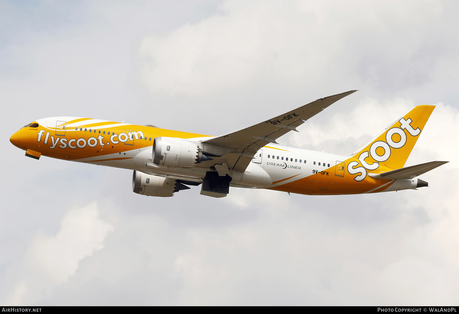 Aircraft Photo of 9V-OFK | Boeing 787-8 Dreamliner | Scoot | AirHistory.net #528130