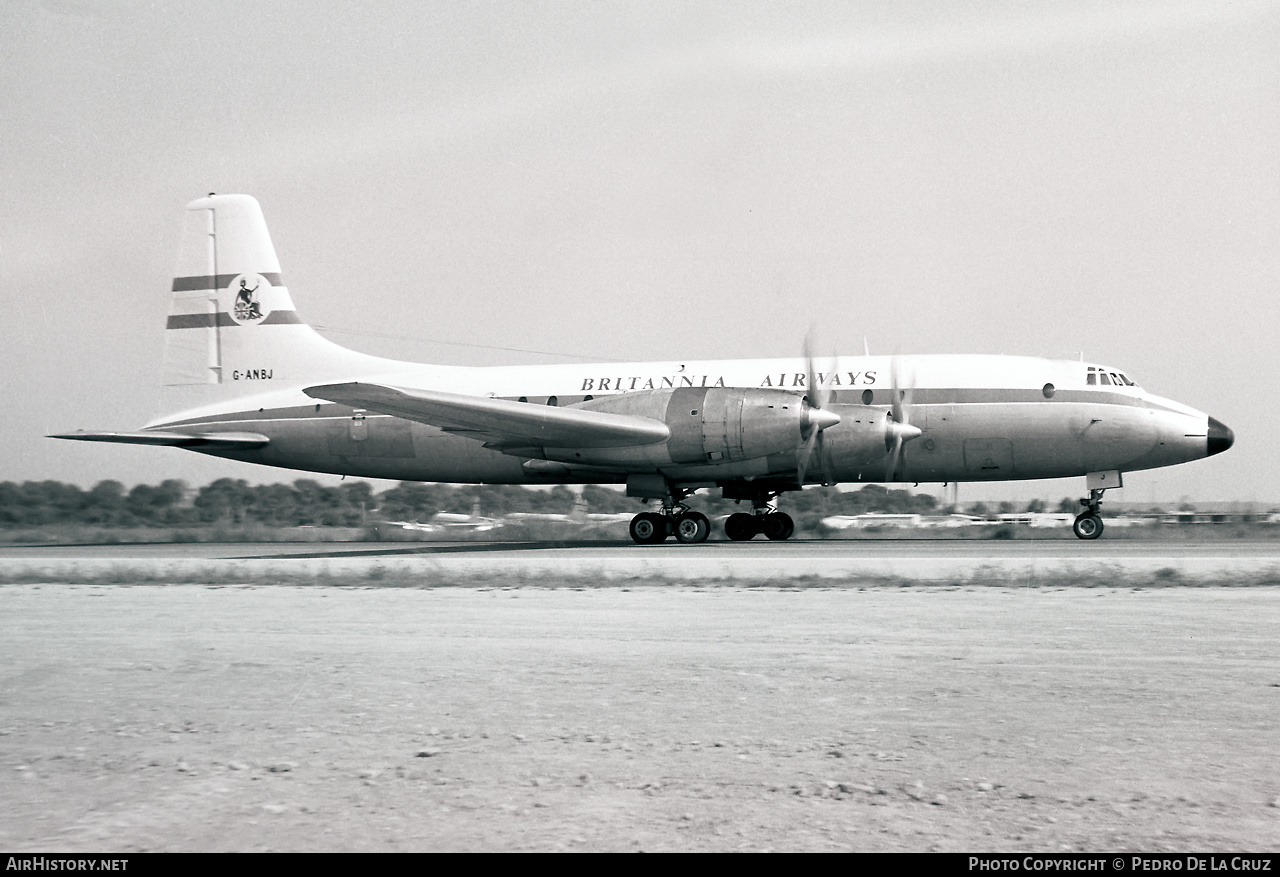 Aircraft Photo of G-ANBJ | Bristol 175 Britannia 102 | Britannia Airways | AirHistory.net #531457
