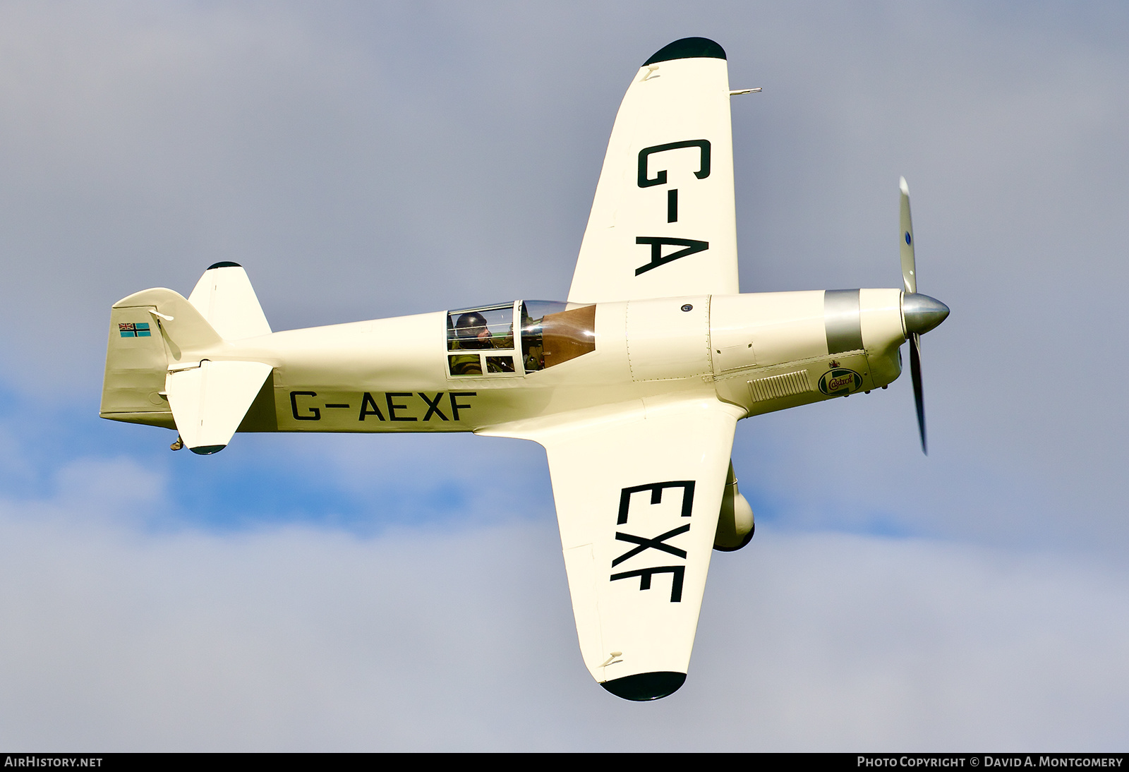 Aircraft Photo of G-AEXF | Percival E.2 Mew Gull | AirHistory.net #532674