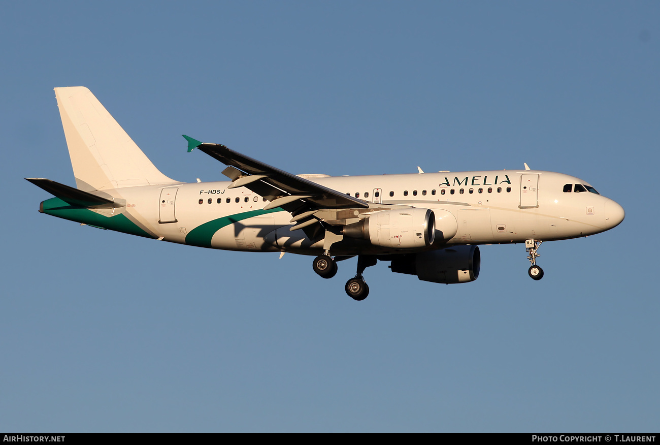 Aircraft Photo of F-HDSJ | Airbus A319-112 | Amelia | AirHistory.net #532836