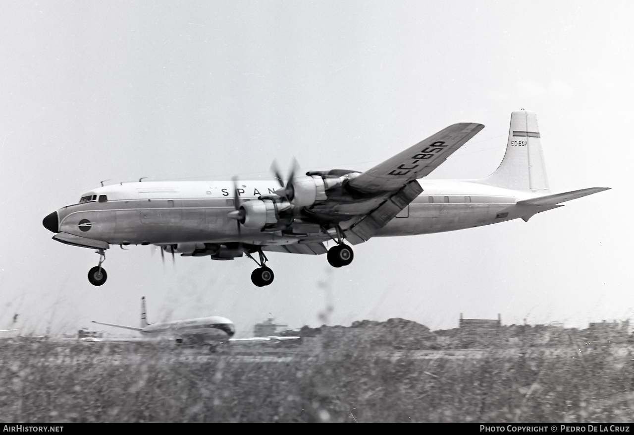 Aircraft Photo of EC-BSP | Douglas DC-7C(F) | Spantax | AirHistory.net #532914