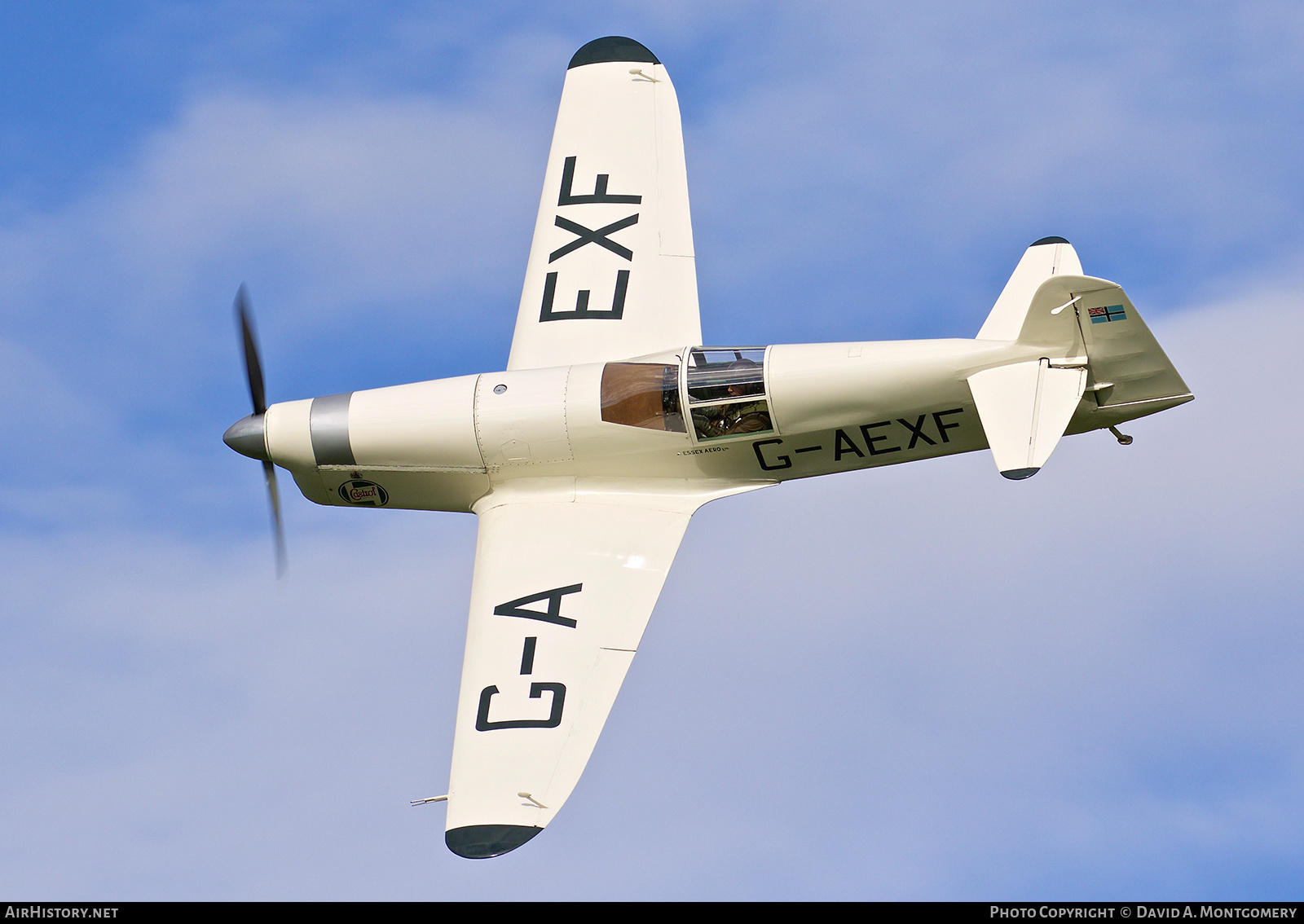 Aircraft Photo of G-AEXF | Percival E.2 Mew Gull | AirHistory.net #533341