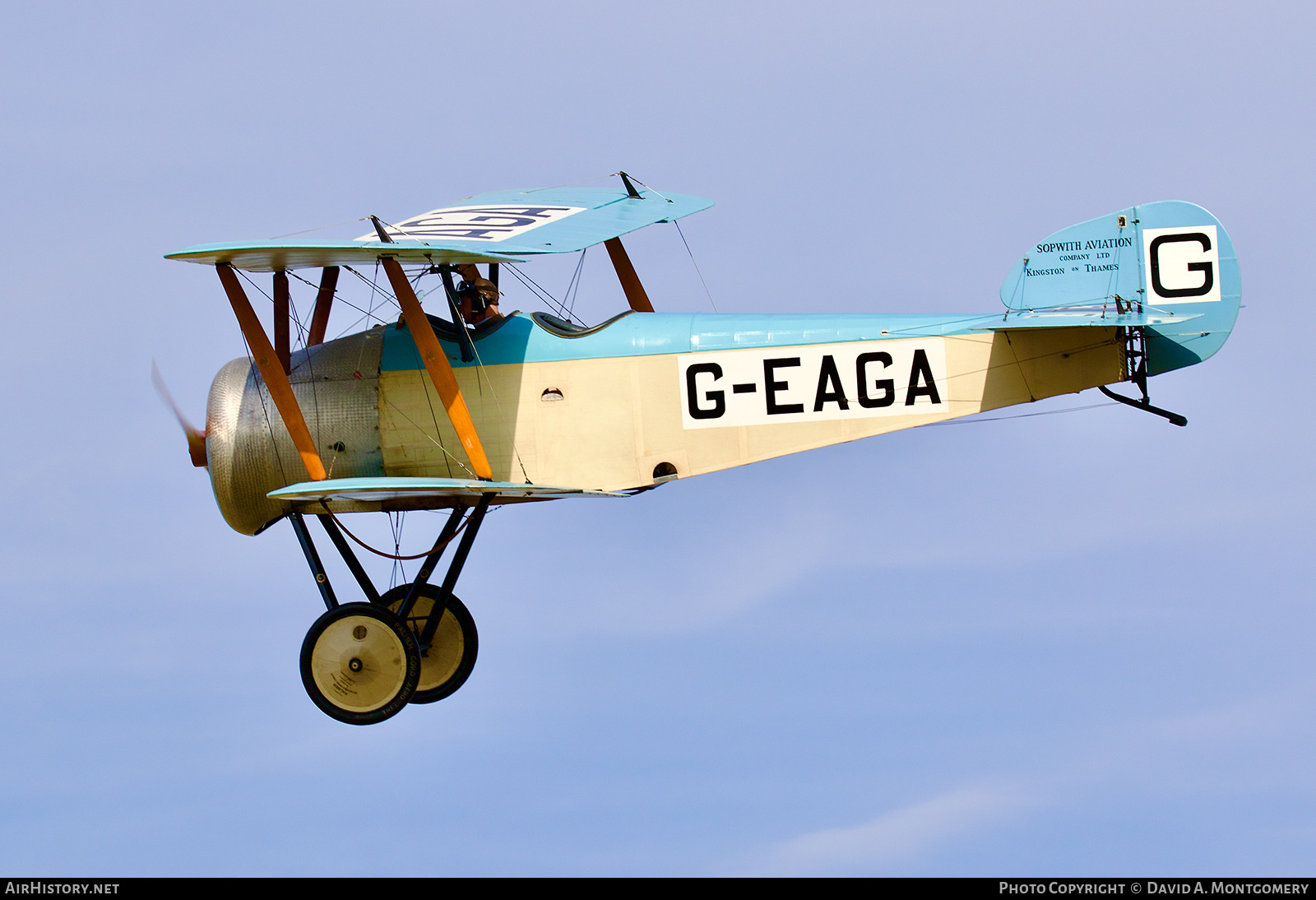 Aircraft Photo of G-EAGA | Sopwith Dove (Replica) | AirHistory.net #533347