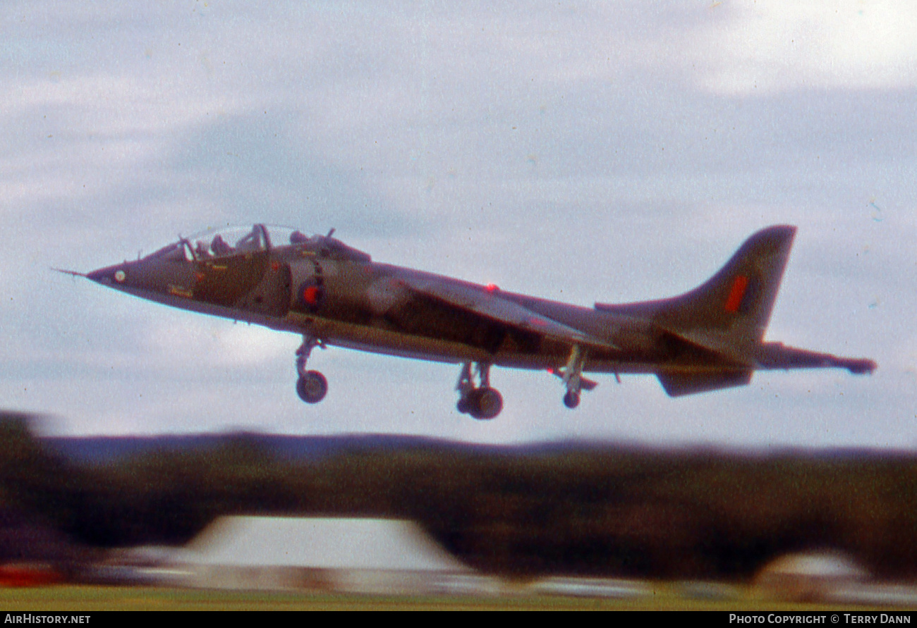 Aircraft Photo of XW175 | Hawker Siddeley Harrier T2 | UK - Air Force | AirHistory.net #533752