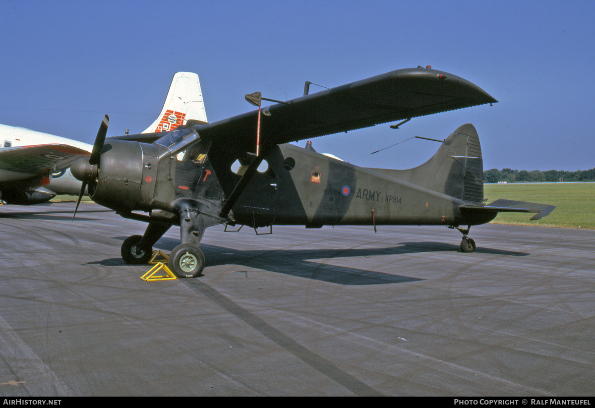 Aircraft Photo of XP814 | De Havilland Canada DHC-2 Beaver AL.1 | UK - Army | AirHistory.net #534024