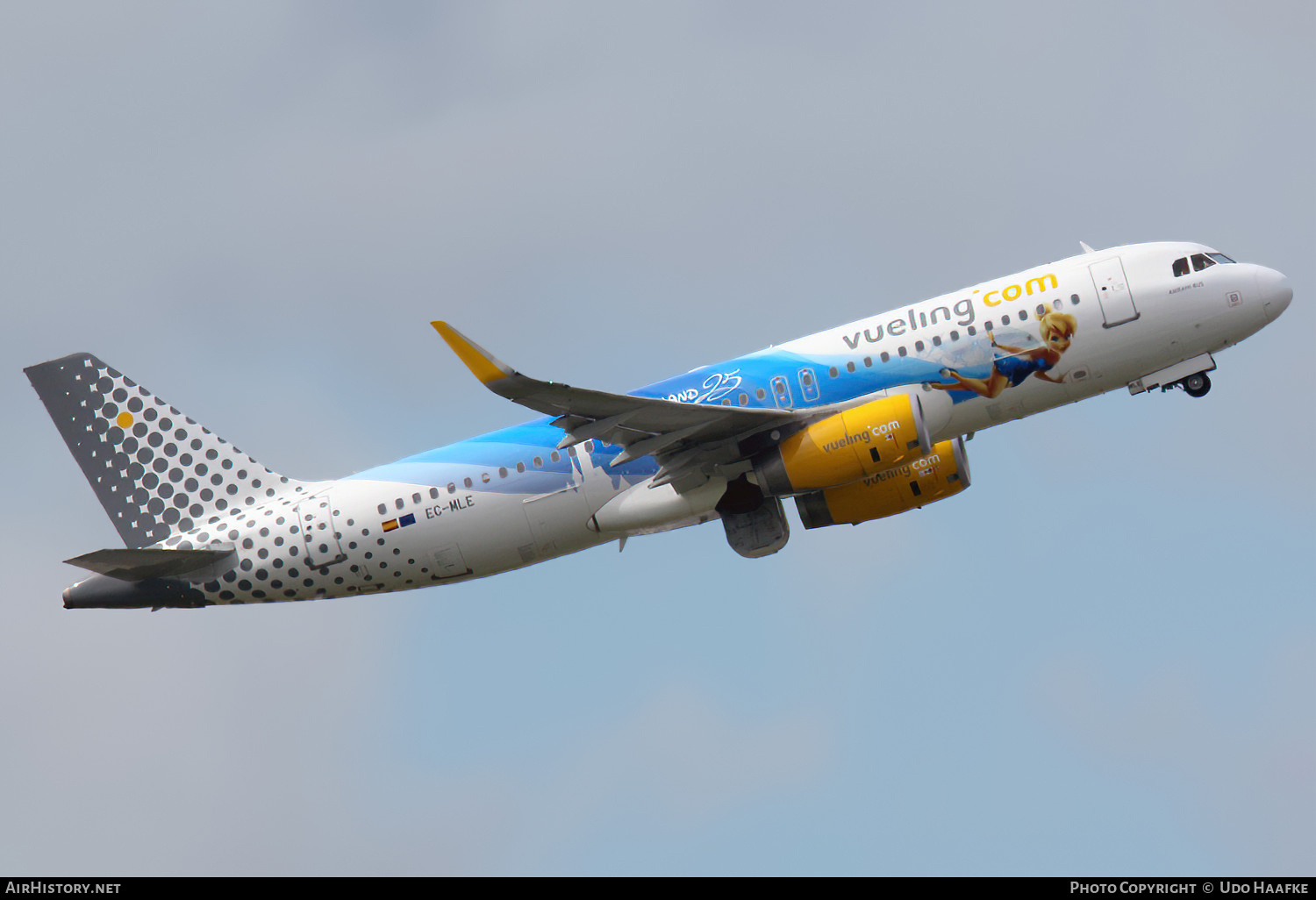 Aircraft Photo of EC-MLE | Airbus A320-232 | Vueling Airlines | AirHistory.net #534197