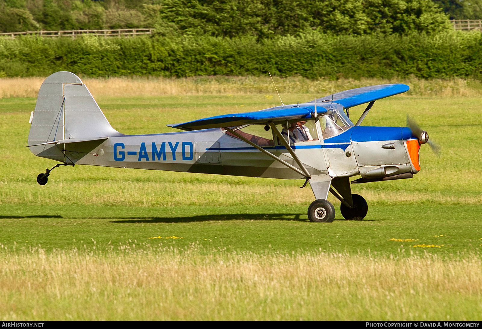 Aircraft Photo of G-AMYD | Auster J-5L Aiglet Trainer | AirHistory.net #536370