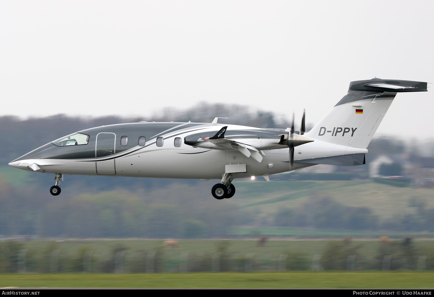 Aircraft Photo of D-IPPY | Piaggio P-180 Avanti Evo | AirHistory.net #536865