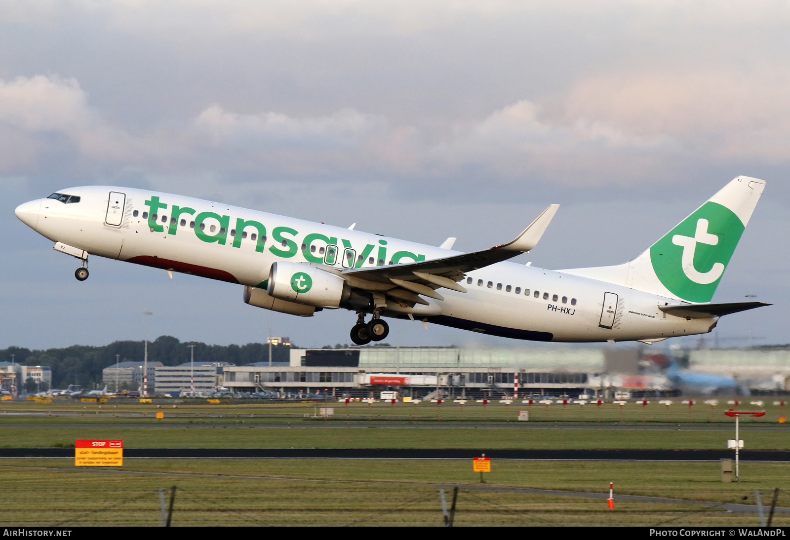 Aircraft Photo of PH-HXJ | Boeing 737-800 | Transavia | AirHistory.net #538401