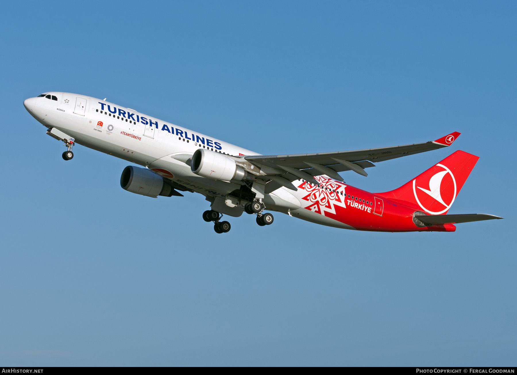 Aircraft Photo of TC-JNB | Airbus A330-203 | Turkish Airlines | AirHistory.net #538879