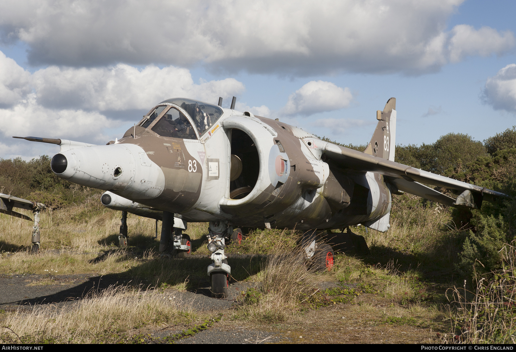 Aircraft Photo of XV783 | Hawker Siddeley Harrier GR3 | UK - Air Force | AirHistory.net #539643