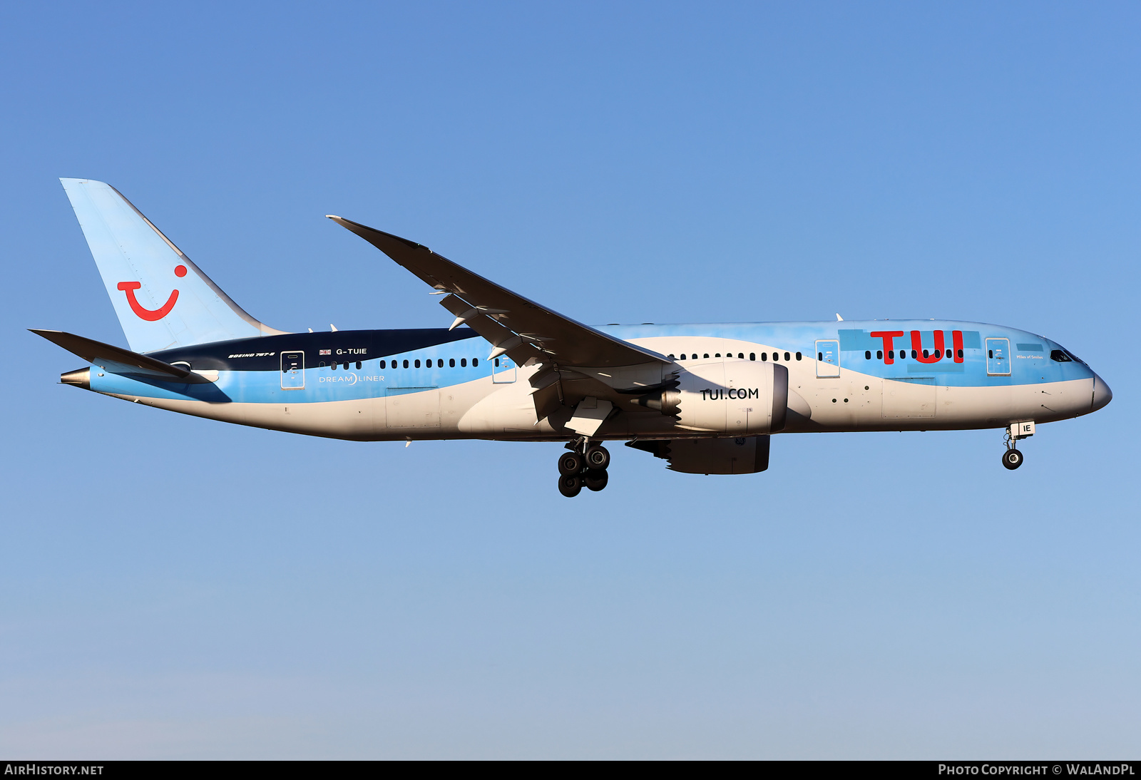 Aircraft Photo of G-TUIE | Boeing 787-8 Dreamliner | TUI | AirHistory.net #540325