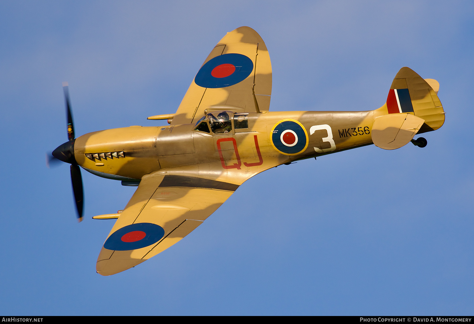 Aircraft Photo of MK356 | Supermarine 361 Spitfire F9E | UK - Air Force | AirHistory.net #541129