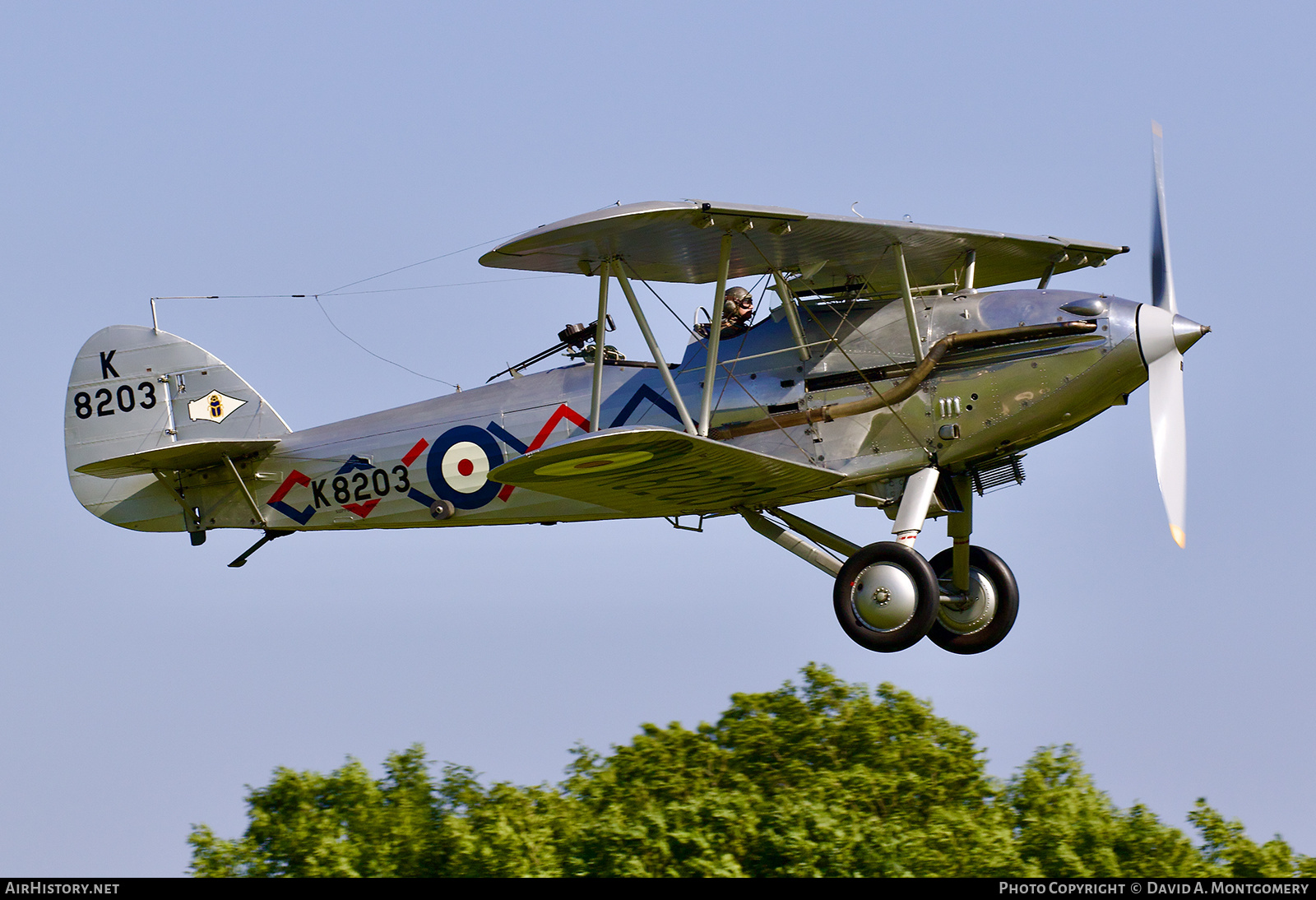 Aircraft Photo of G-BTVE / K8203 | Hawker Demon I | UK - Air Force | AirHistory.net #541153