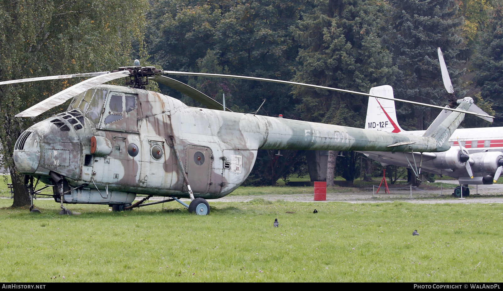 Aircraft Photo of 511 | Mil Mi-4A | Poland - Air Force | AirHistory.net #541429