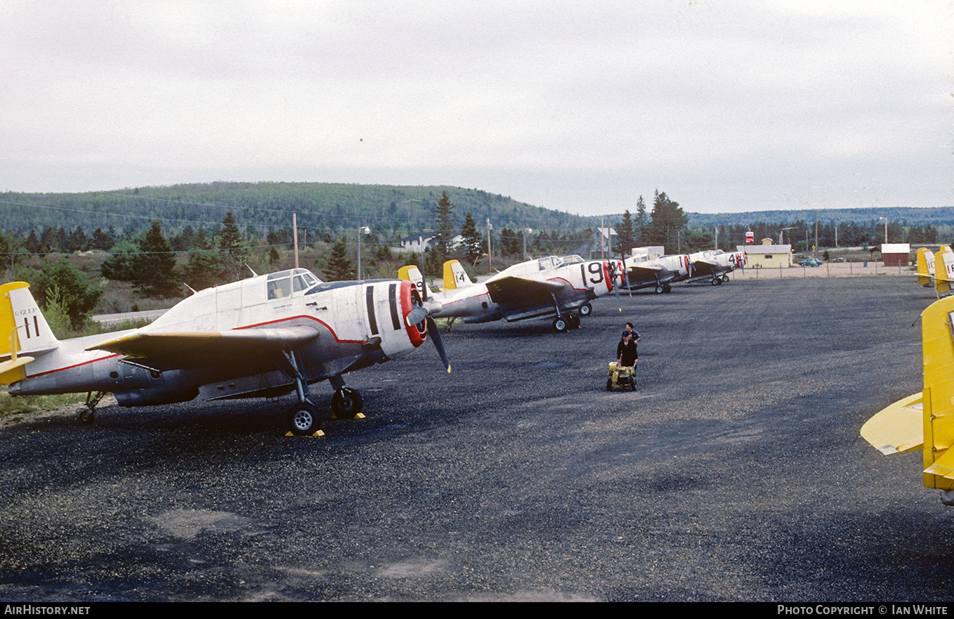 Aircraft Photo of C-GLEP | General Motors TBM-3/AT Avenger | Forest Protection Ltd - FPL | AirHistory.net #542015