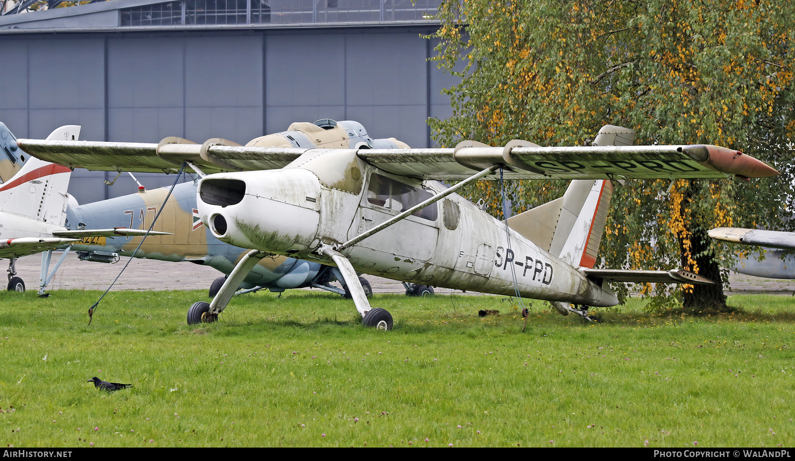 Aircraft Photo of SP-PRD | PZL-Okecie PZL-105L Flaming | PZL Okecie | AirHistory.net #542658