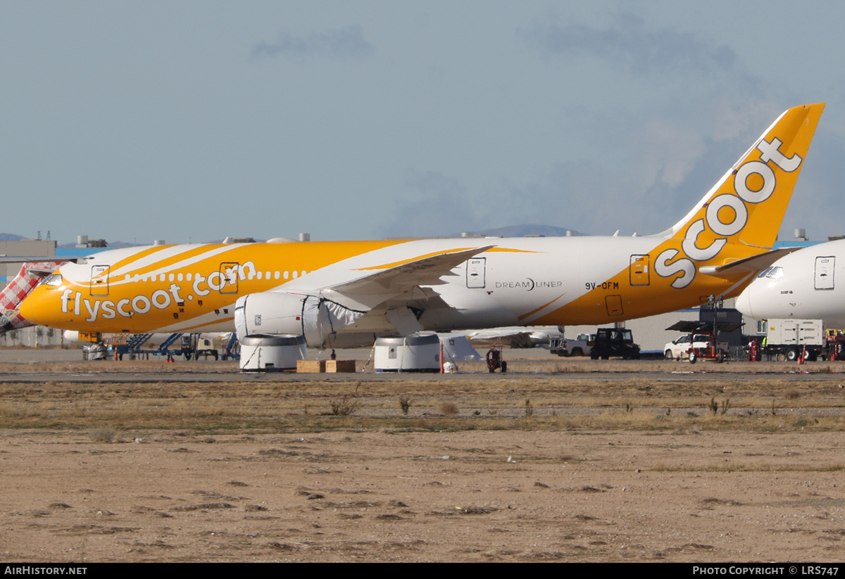 Aircraft Photo of 9V-OFM | Boeing 787-8 Dreamliner | Scoot | AirHistory.net #543204