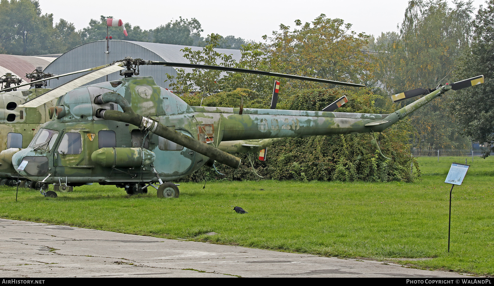 Aircraft Photo of 6048 | Mil Mi-2Ch | Poland - Air Force | AirHistory.net #543536
