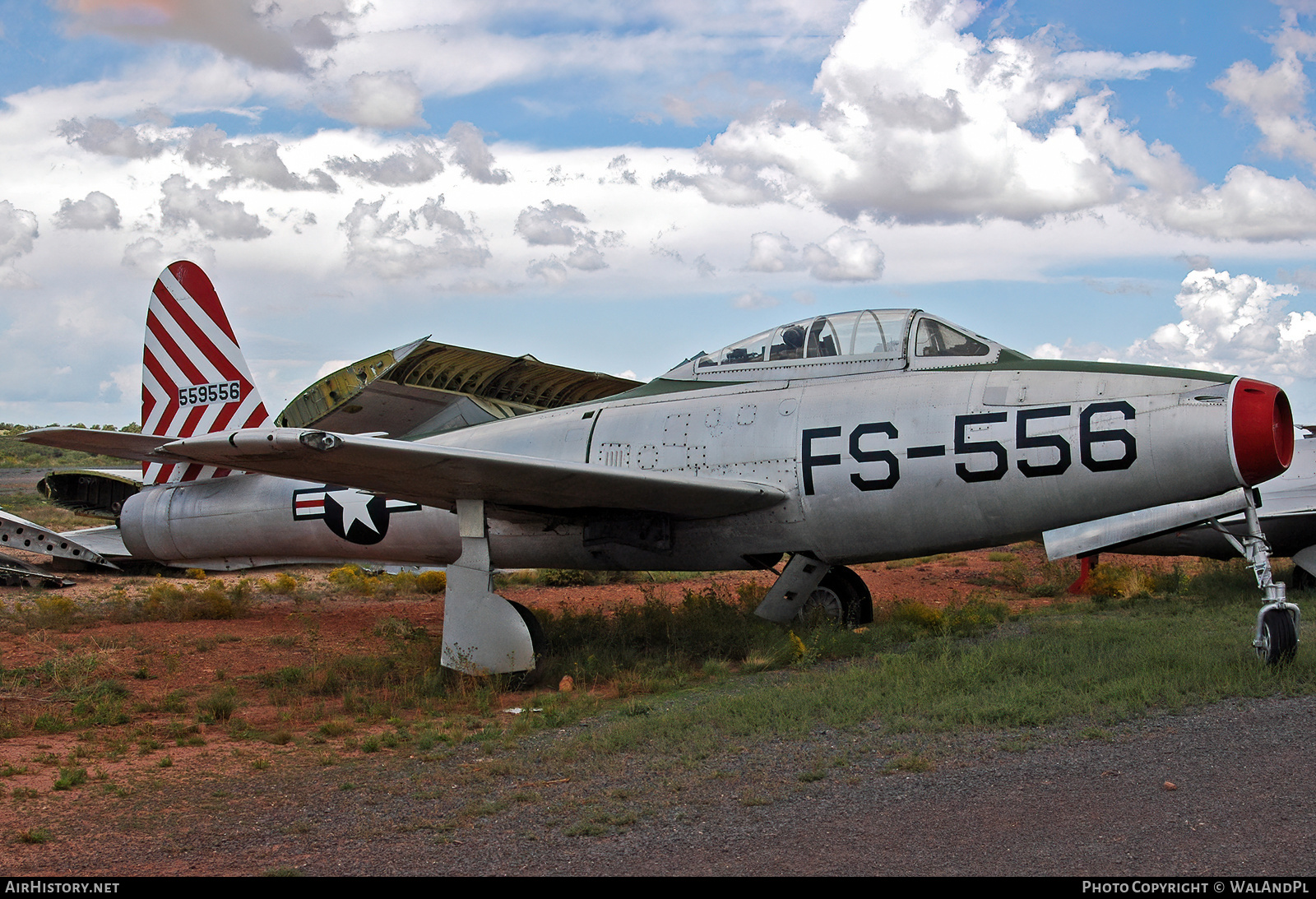 Aircraft Photo of 45-59556 / 559556 | Republic F-84B Thunderjet | USA - Air Force | AirHistory.net #543583