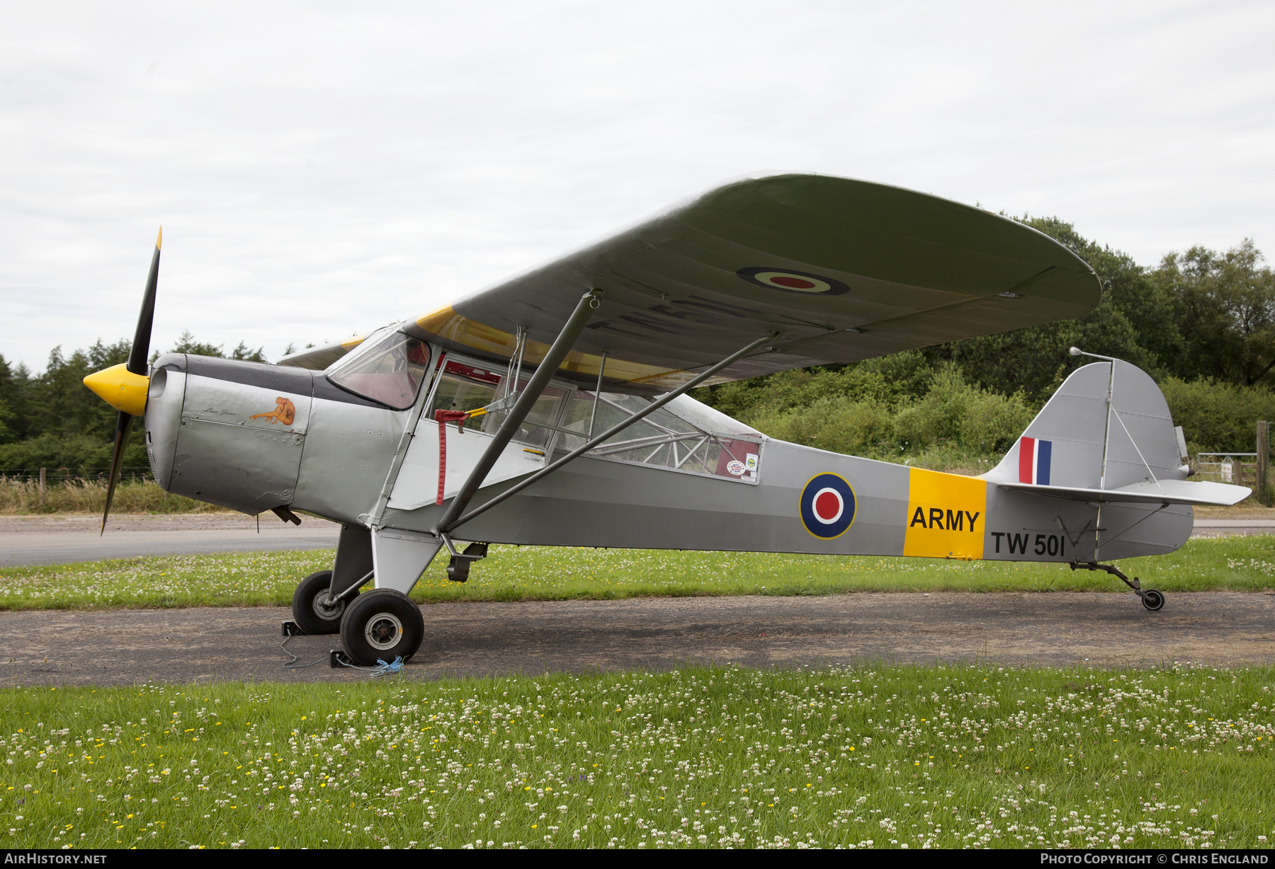 Aircraft Photo of G-ALBJ / TW501 | Taylorcraft J Auster Mk5 | UK - Army | AirHistory.net #544048