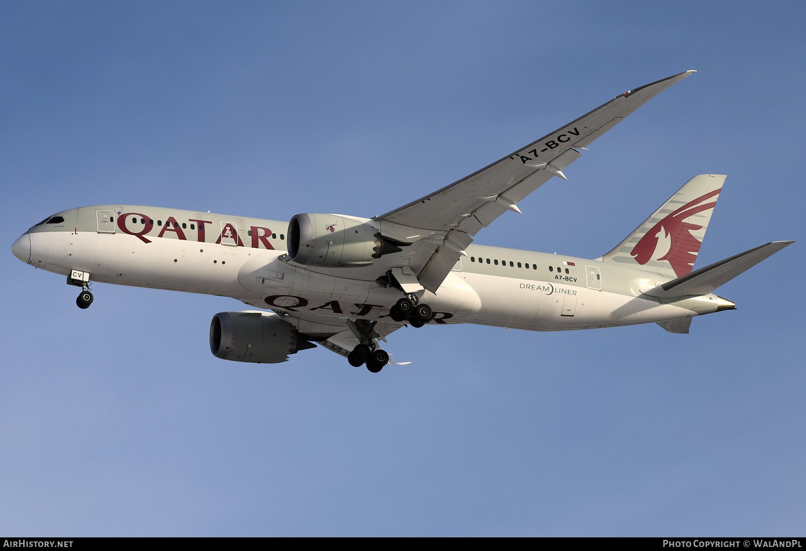 Aircraft Photo of A7-BCV | Boeing 787-8 Dreamliner | Qatar Airways | AirHistory.net #544070