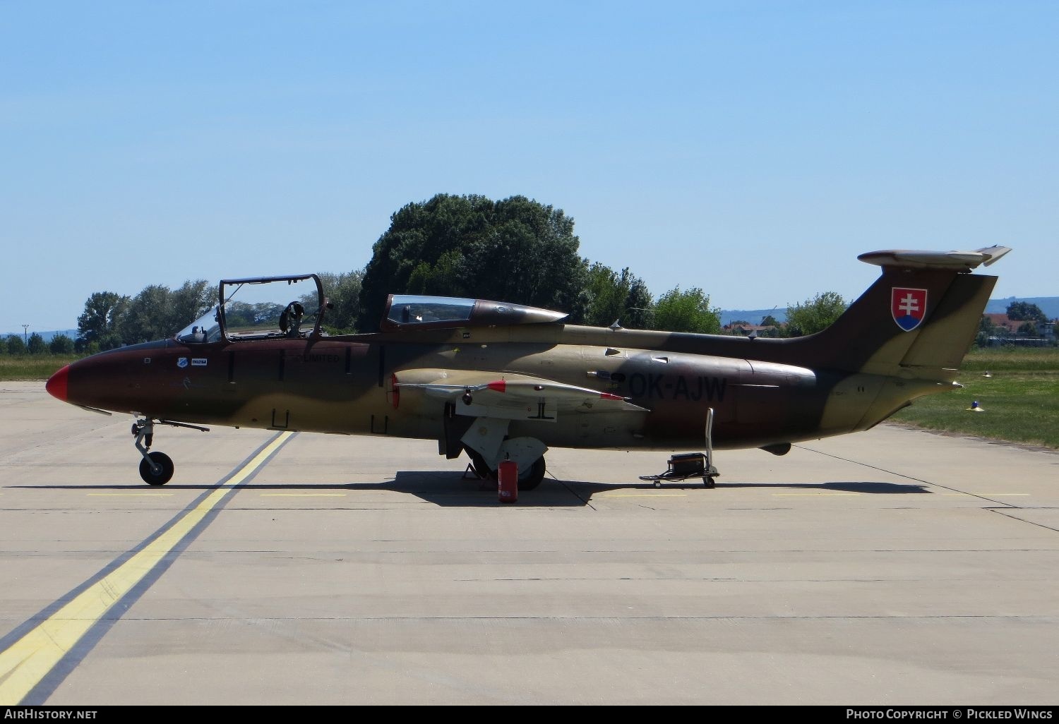 Aircraft Photo of OK-AJW | Aero L-29 Delfin | Blue Sky Service | Slovakia - Air Force | AirHistory.net #544865