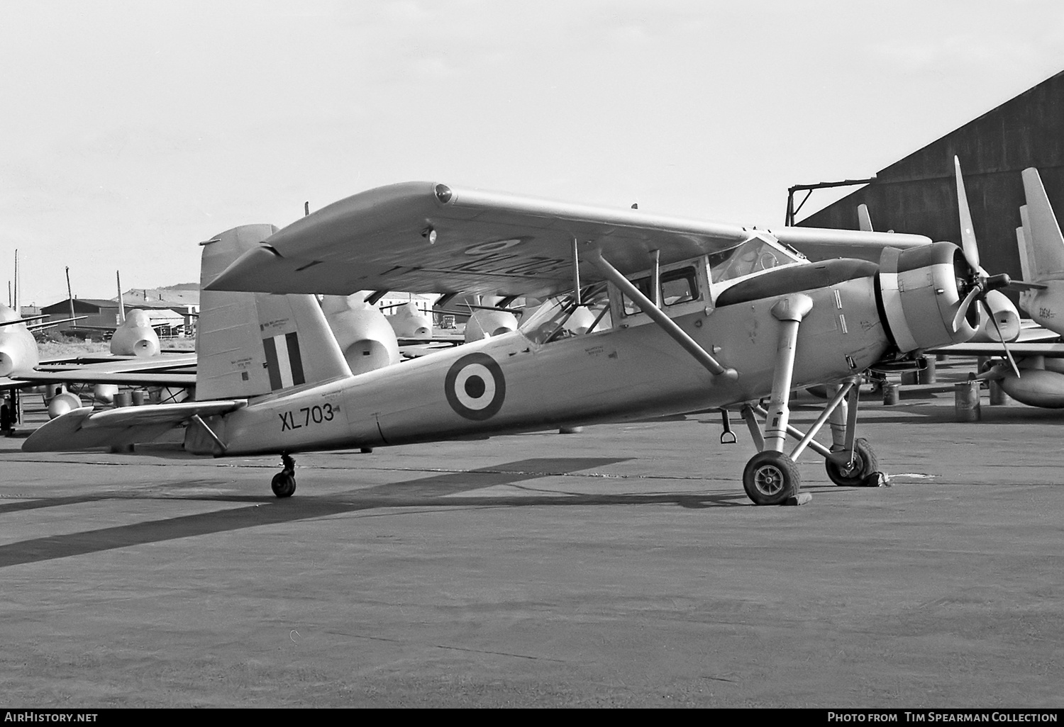 Aircraft Photo of XL703 | Scottish Aviation Pioneer CC.1 | UK - Air Force | AirHistory.net #545143