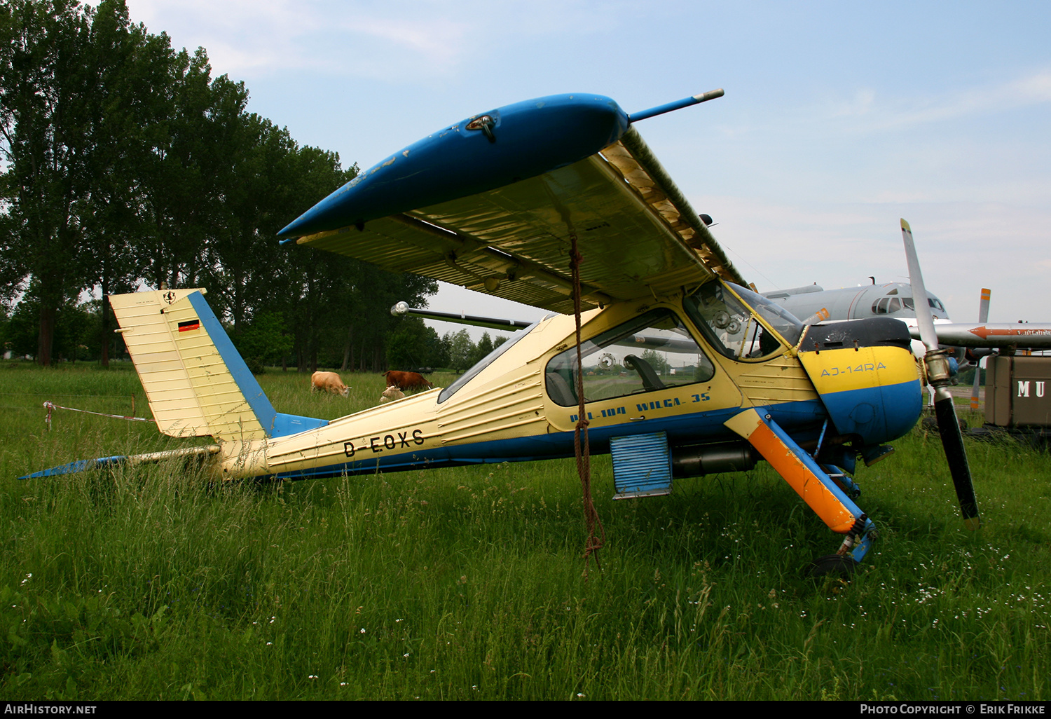 Aircraft Photo of D-EOXS | PZL-Okecie PZL-104 Wilga 35A | AirHistory.net #545416