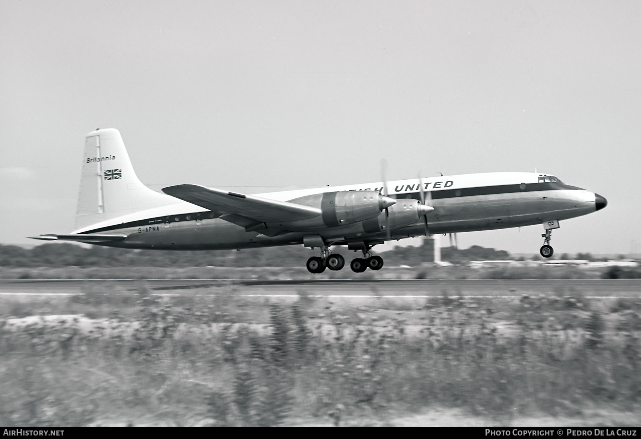 Aircraft Photo of G-APNA | Bristol 175 Britannia 317 | British United Airways - BUA | AirHistory.net #545717