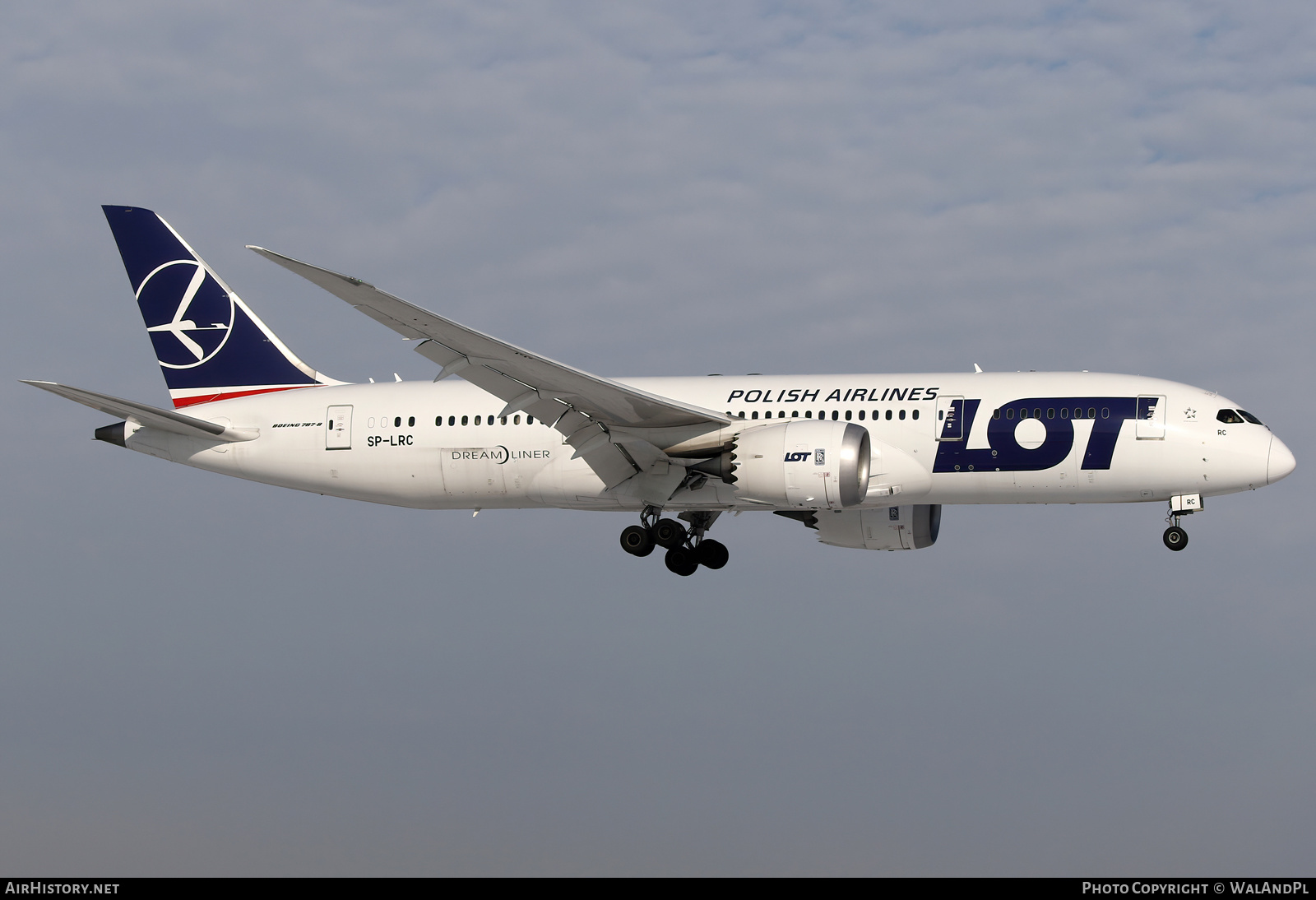Aircraft Photo of SP-LRC | Boeing 787-8 Dreamliner | LOT Polish Airlines - Polskie Linie Lotnicze | AirHistory.net #545953