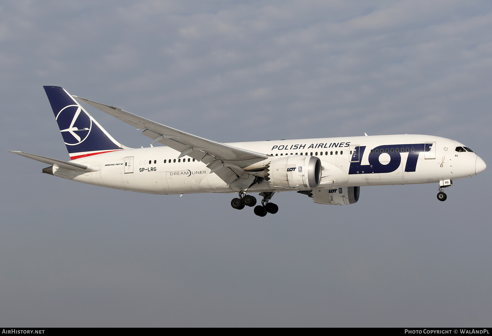 Aircraft Photo of SP-LRG | Boeing 787-8 Dreamliner | LOT Polish Airlines - Polskie Linie Lotnicze | AirHistory.net #545954