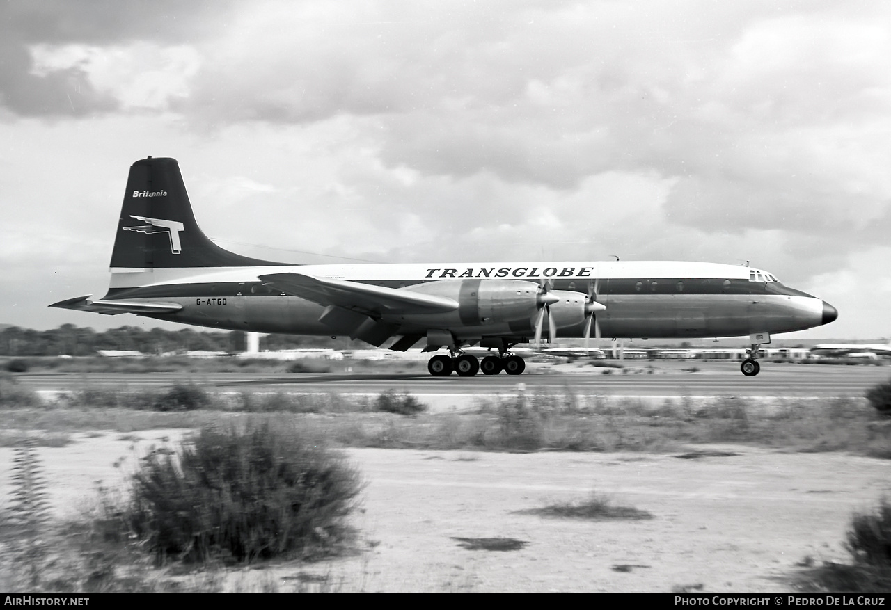 Aircraft Photo of G-ATGD | Bristol 175 Britannia 314 | Transglobe Airways | AirHistory.net #546214