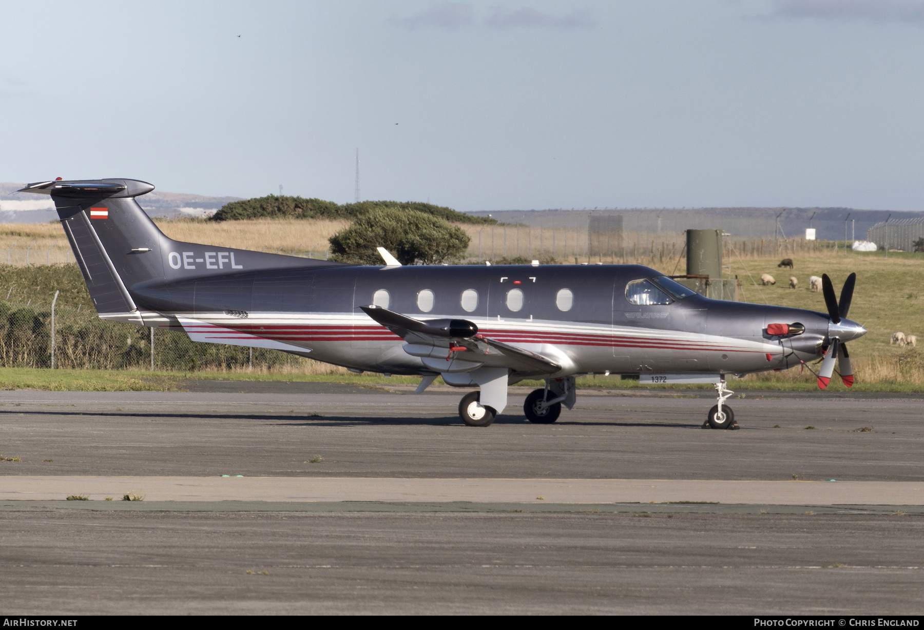 Aircraft Photo of OE-EFL | Pilatus PC-12NG (PC-12/47E) | AirHistory.net #546403