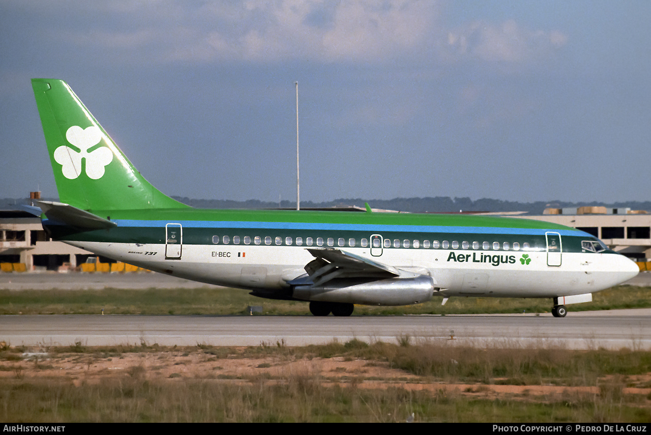 Aircraft Photo of EI-BEC | Boeing 737-248/Adv | Aer Lingus | AirHistory.net #547096