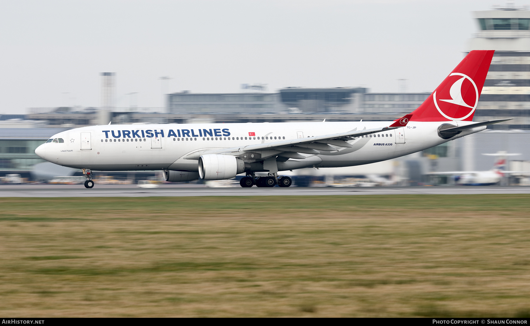 Aircraft Photo of TC-JIP | Airbus A330-223 | Turkish Airlines | AirHistory.net #547460