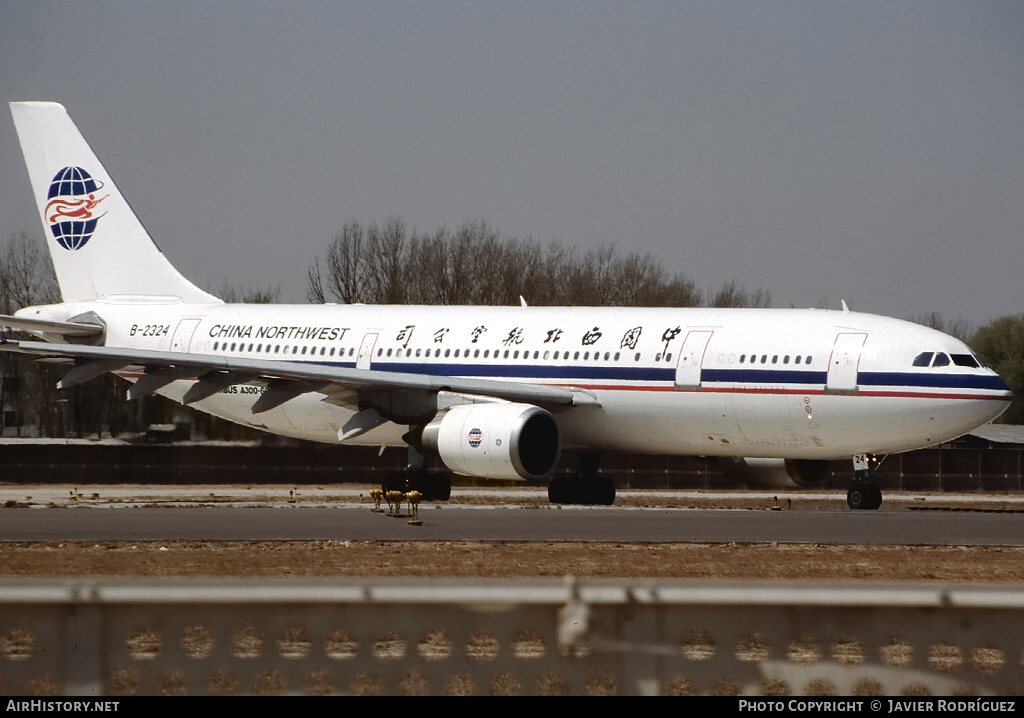 Aircraft Photo of B-2324 | Airbus A300B4-605R | China Northwest Airlines | AirHistory.net #548548
