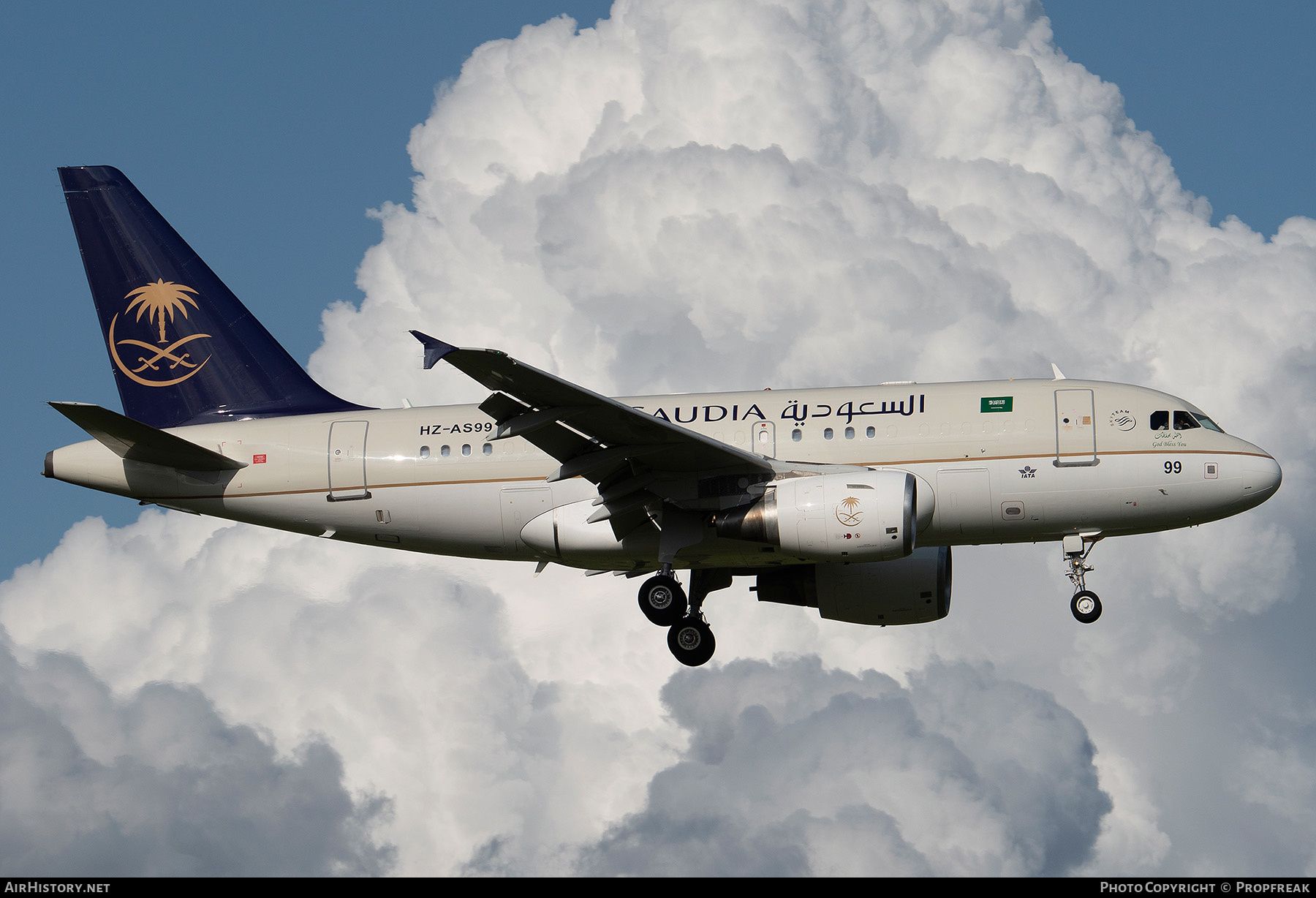 Aircraft Photo of HZ-AS99 | Airbus ACJ318 (A318-112/CJ) | Saudia - Saudi Arabian Royal Flight | AirHistory.net #554727