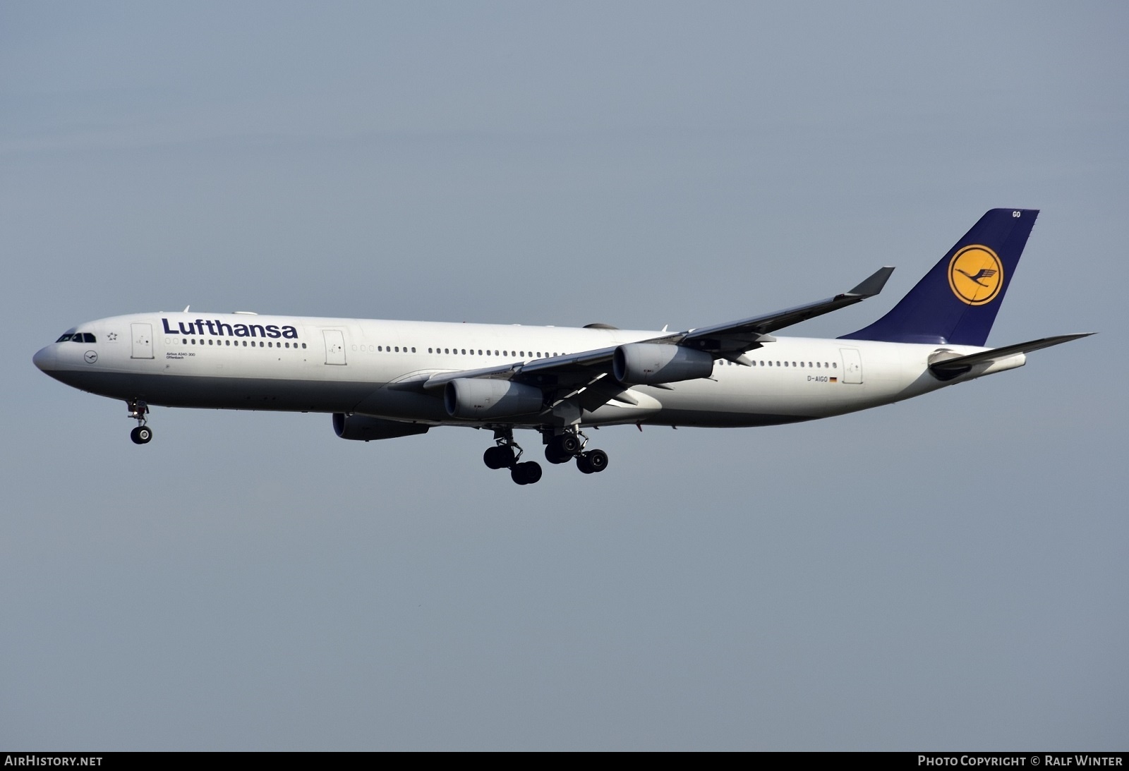 Aircraft Photo of D-AIGO | Airbus A340-313 | Lufthansa | AirHistory.net #555210
