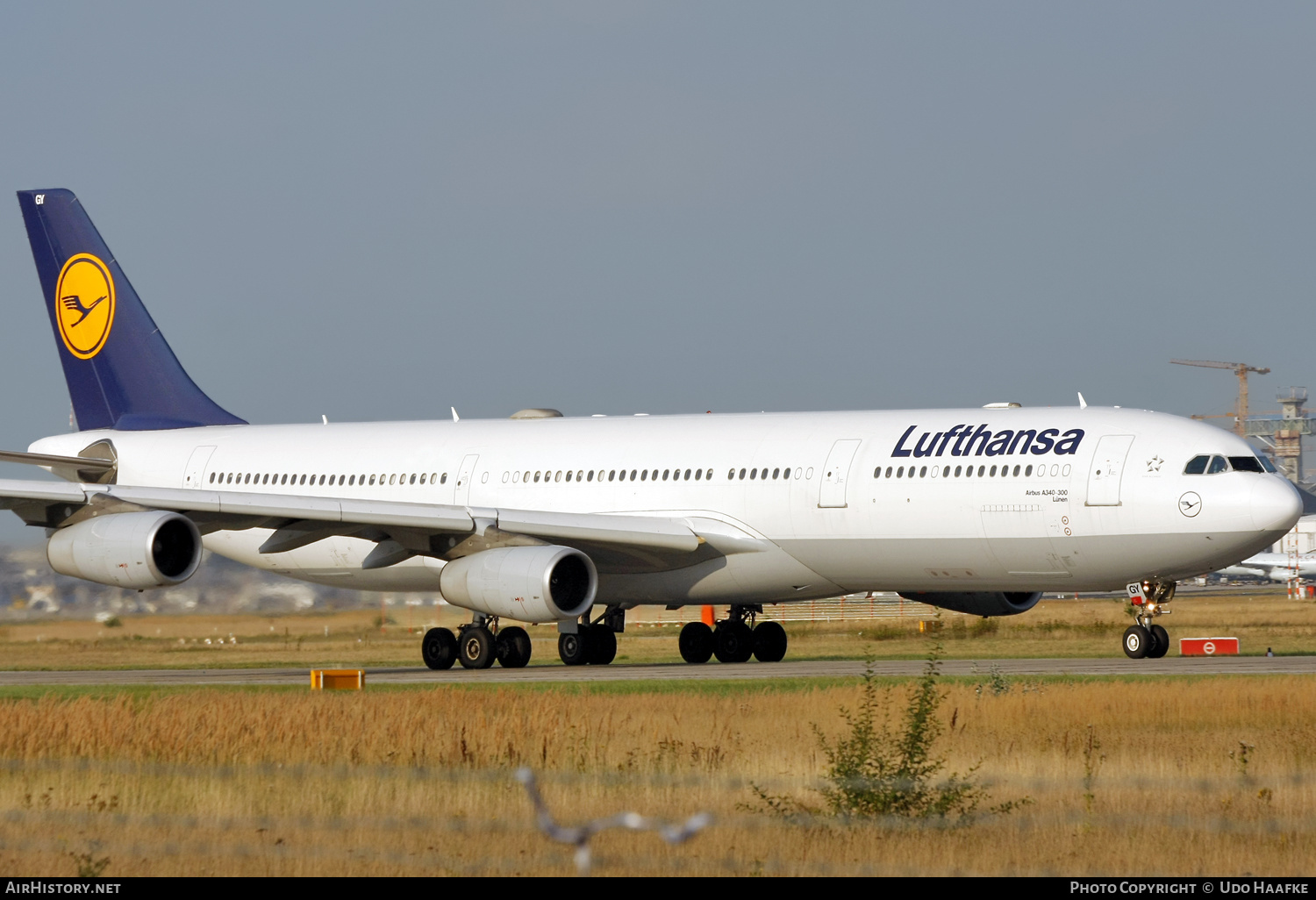 Aircraft Photo of D-AIGY | Airbus A340-313 | Lufthansa | AirHistory.net #555728