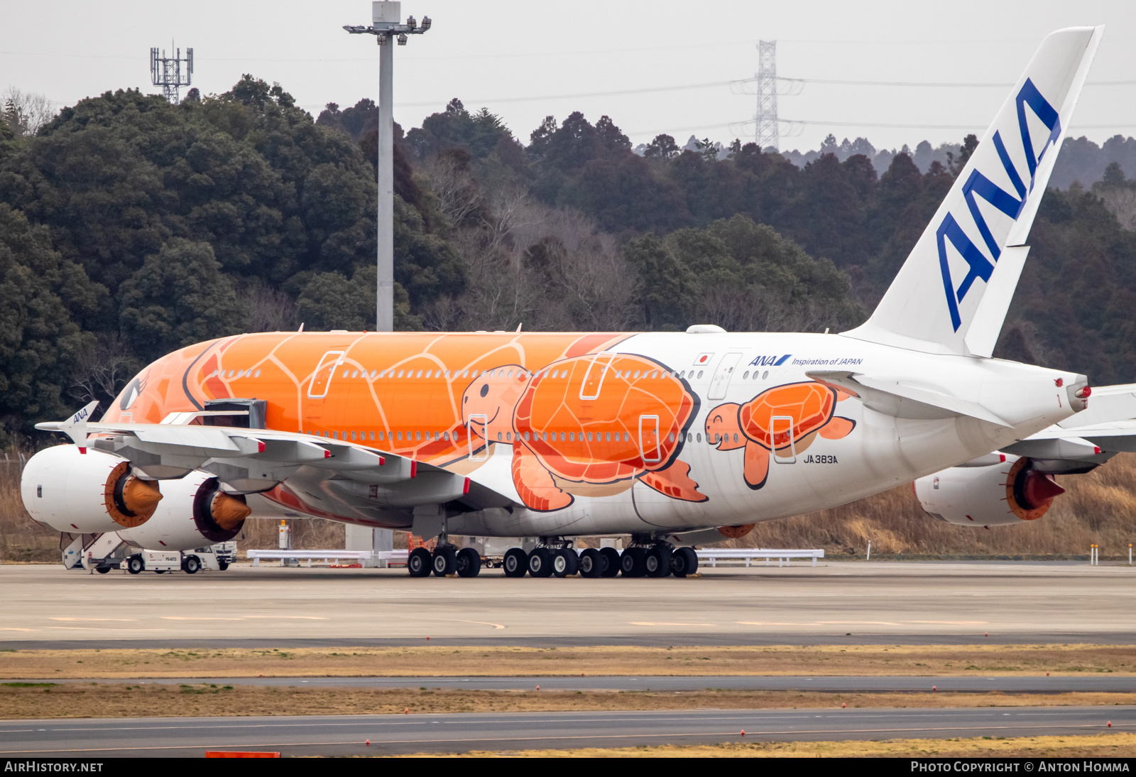 Aircraft Photo of JA383A | Airbus A380-841 | All Nippon Airways - ANA | AirHistory.net #557677