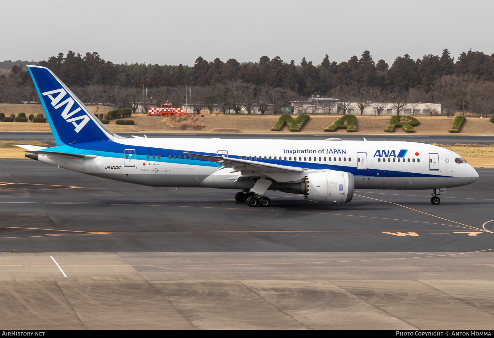 Aircraft Photo of JA802A | Boeing 787-8 Dreamliner | All Nippon Airways - ANA | AirHistory.net #557693