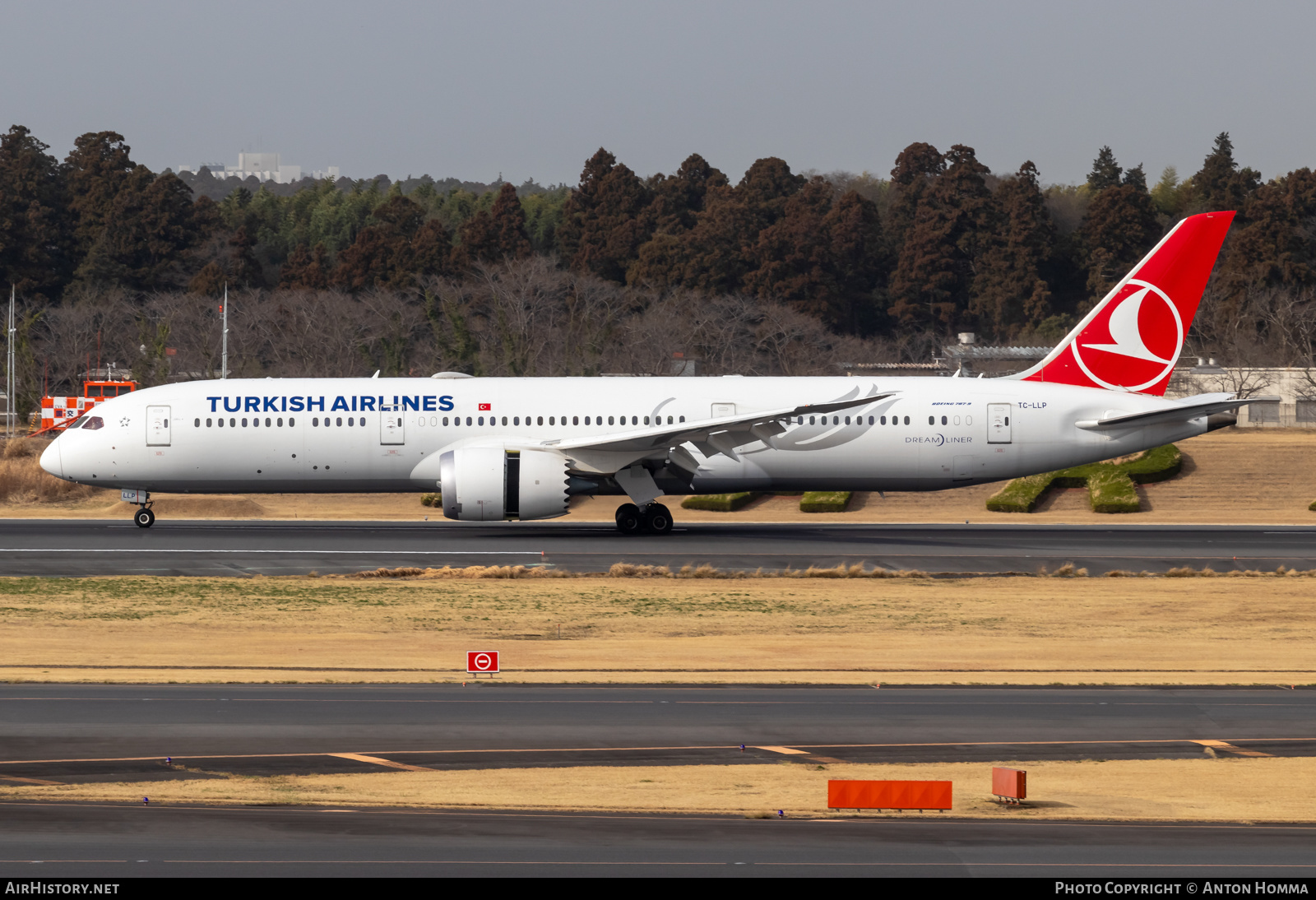 Aircraft Photo of TC-LLP | Boeing 787-9 Dreamliner | Turkish Airlines | AirHistory.net #557695