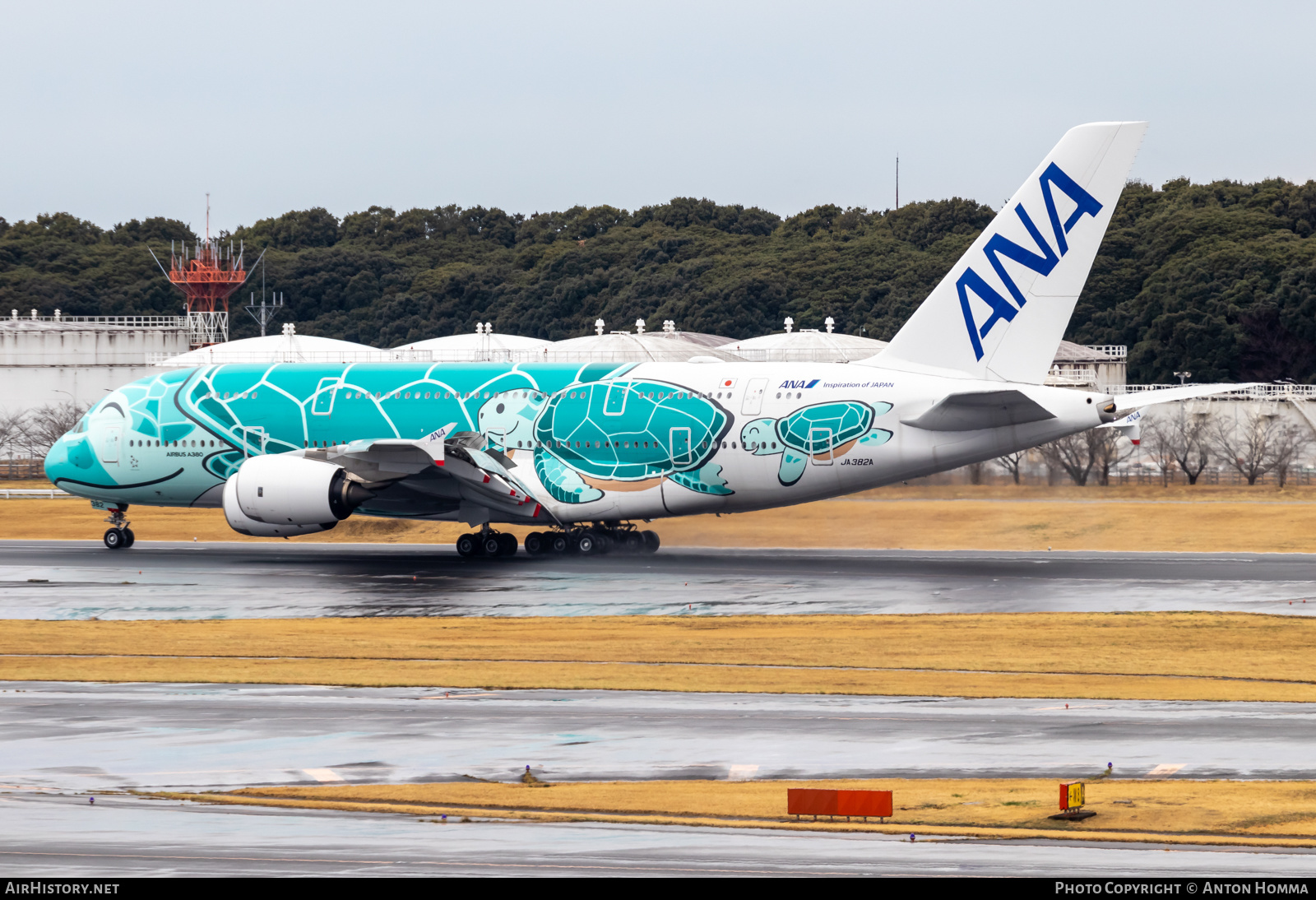 Aircraft Photo of JA382A | Airbus A380-841 | All Nippon Airways - ANA | AirHistory.net #557733