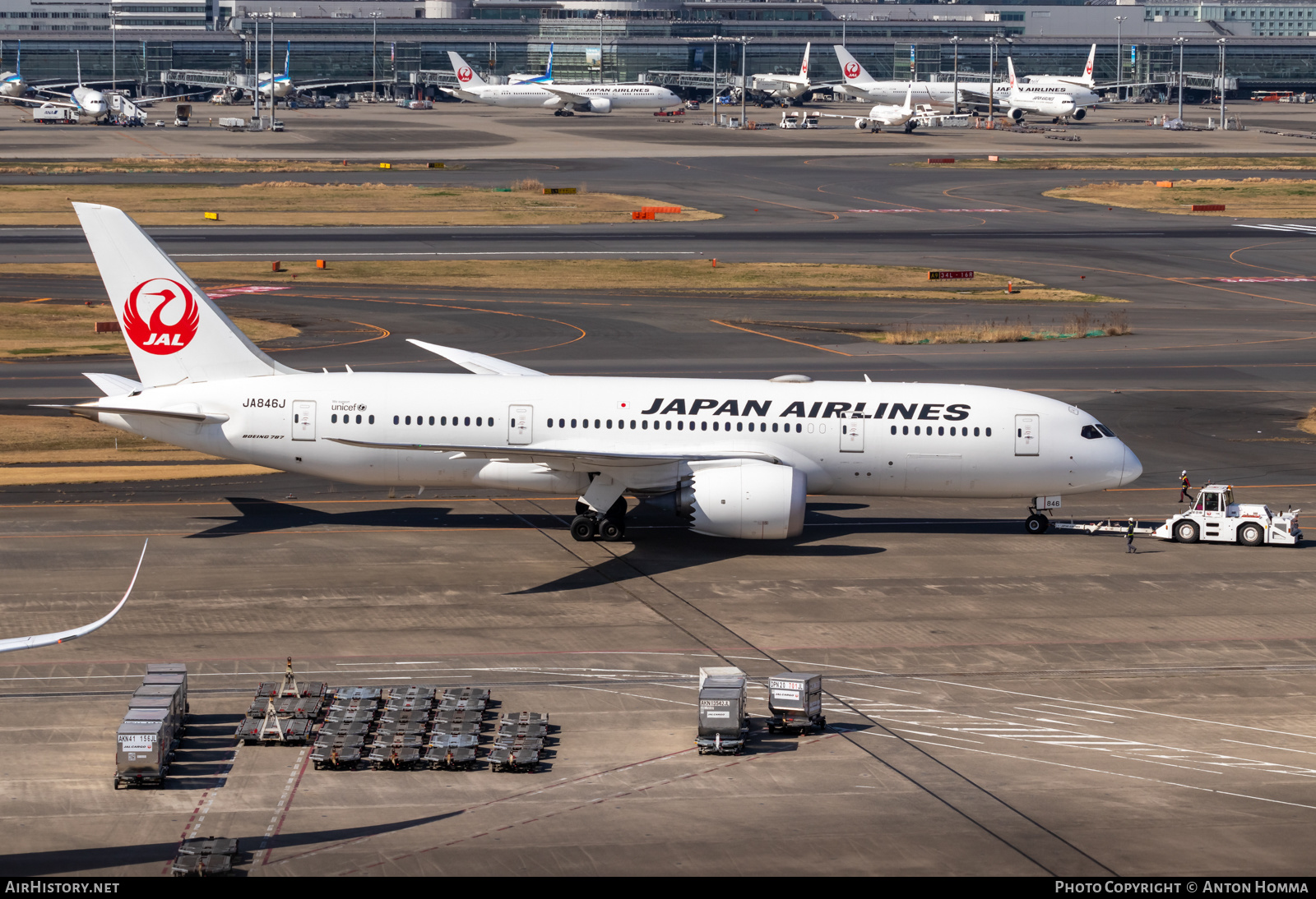 Aircraft Photo of JA846J | Boeing 787-8 Dreamliner | Japan Airlines - JAL | AirHistory.net #558156