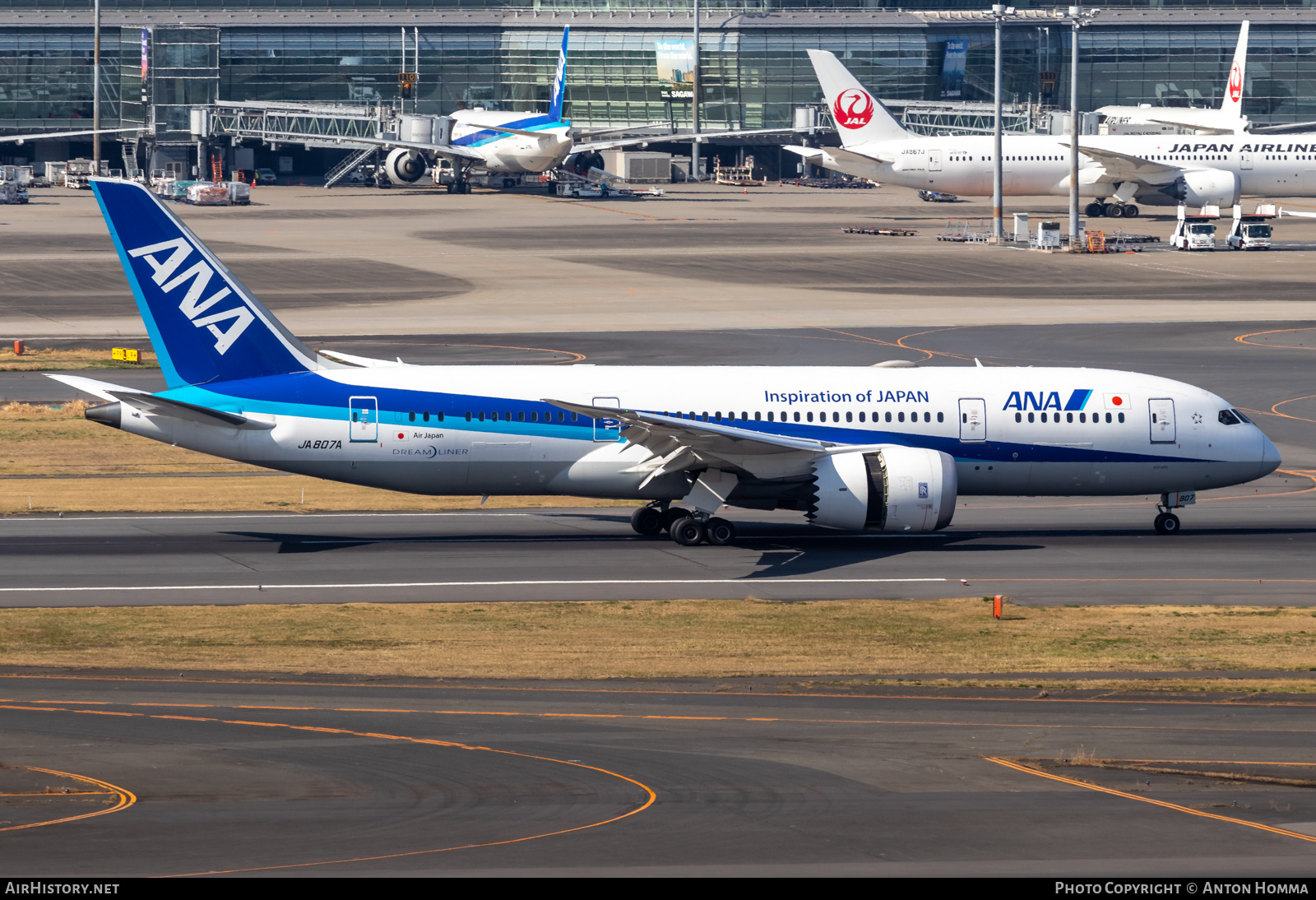 Aircraft Photo of JA807A | Boeing 787-8 Dreamliner | All Nippon Airways - ANA | AirHistory.net #558164