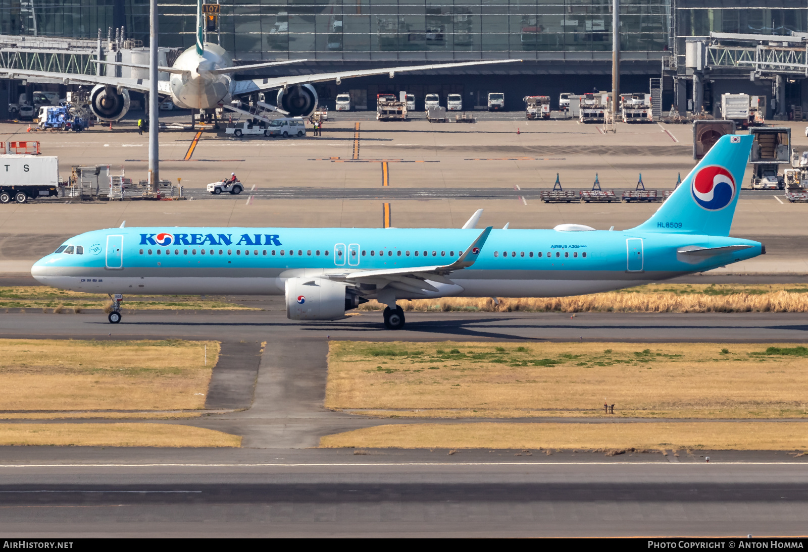 Aircraft Photo of HL8509 | Airbus A321-271NX | Korean Air | AirHistory.net #558182